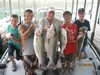 (07/30/2012) - Nice Striped Bass
