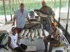 (07/31/2012) - Nice Striped Bass