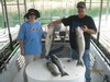 (07/31/2012) - Nice Striped Bass