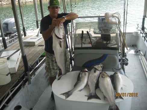 Nice Striped Bass