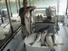 (08/01/2012) - Nice Striped Bass