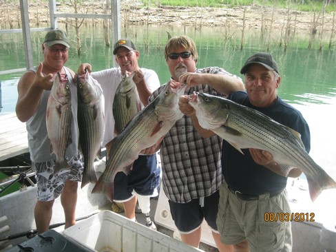 Nice Striped Bass