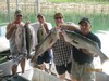 (08/03/2012) - Nice Striped Bass