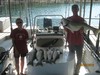 (08/09/2012) - Nice Striped Bass