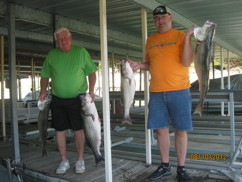 Nice Striped Bass