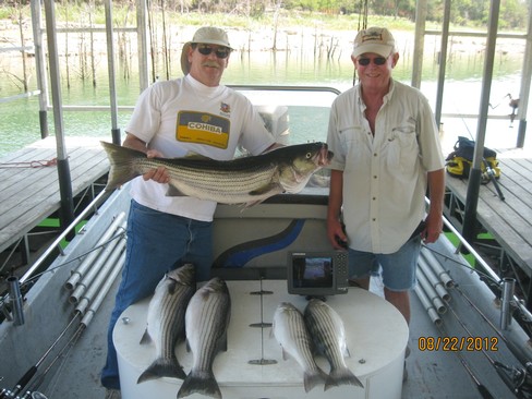 Nice Striped Bass