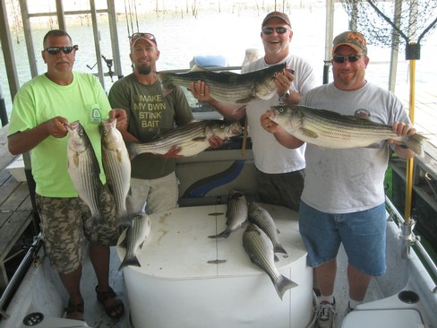 Nice Striped Bass