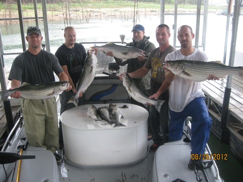 Nice Striped Bass