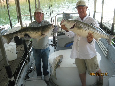 Nice Striped Bass
