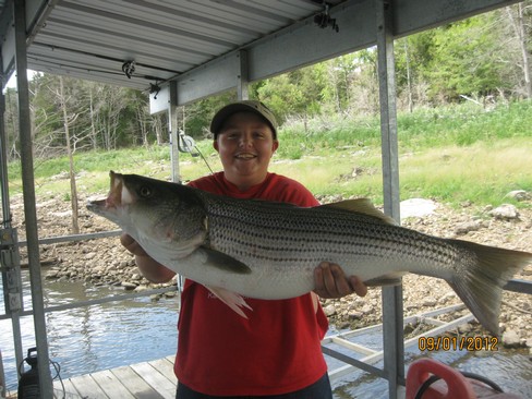Nice Striped Bass