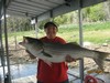 (09/01/2012) - Nice Striped Bass