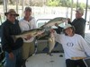 (09/08/2012) - Nice Striped Bass