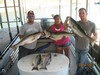 (09/12/2012) - Nice Striped Bass