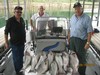 (09/16/2012) - Nice Striped Bass