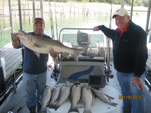Nice Striped Bass