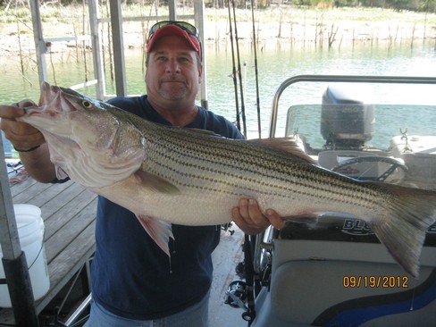 Nice Striped Bass