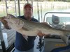 (09/19/2012) - Nice Striped Bass