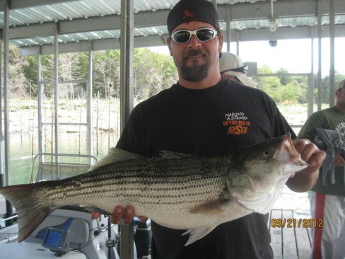 Nice Striped Bass
