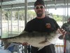 (09/21/2012) - Nice Striped Bass