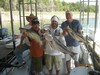 (09/21/2012) - Nice Striped Bass