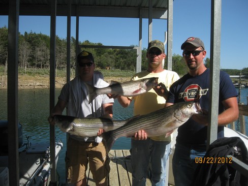 Nice Striped Bass