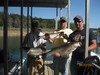 (09/22/2012) - Nice Striped Bass
