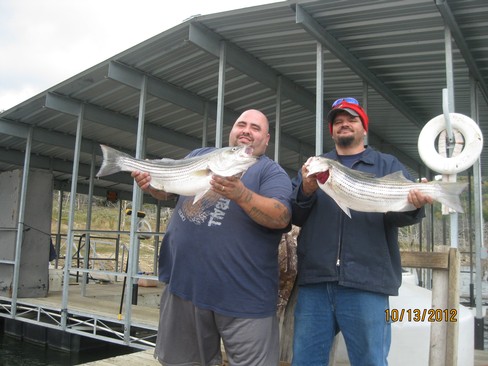 Nice Striped Bass