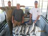 (10/20/2012) - Nice Striped Bass