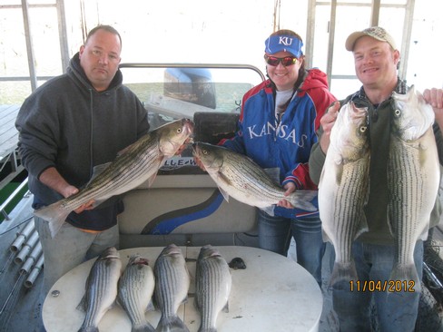 Nice Striped Bass