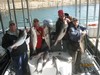 (11/09/2012) - Nice Striped Bass