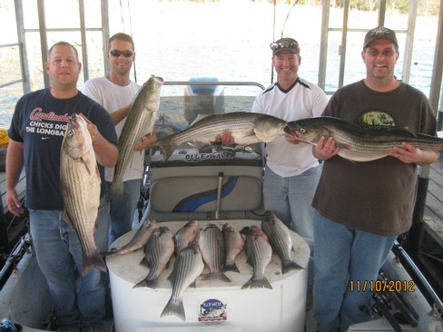 Nice Striped Bass