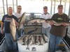 (11/10/2012) - Nice Striped Bass