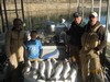 (11/15/2012) - Nice Striped Bass