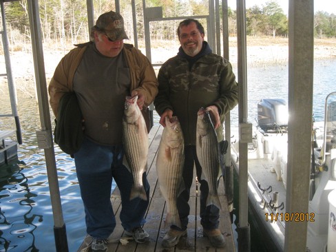Nice Striped Bass