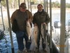 (11/18/2012) - Nice Striped Bass