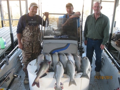 Nice Striped Bass