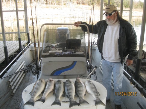 Nice Striped Bass