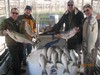 (11/25/2012) - Nice Striped Bass
