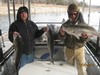 (12/27/2012) - Nice Striped Bass