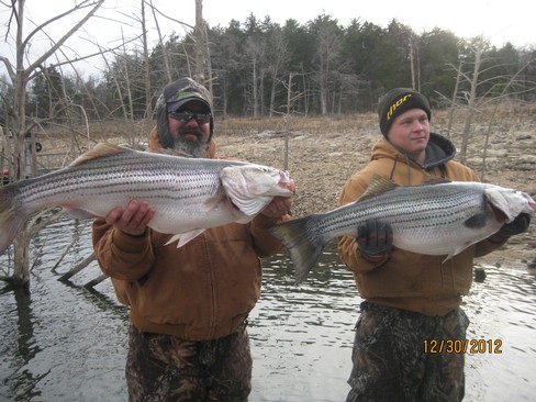 Nice Striped Bass