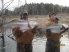 (12/30/2012) - Nice Striped Bass