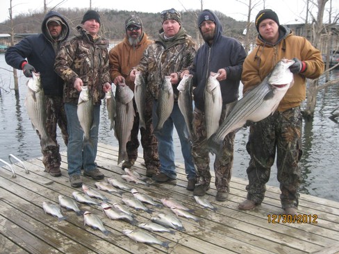 Nice Striped Bass