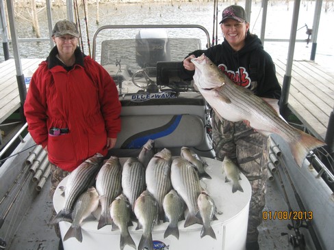 Nice Striped Bass
