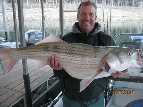Nice Striped Bass