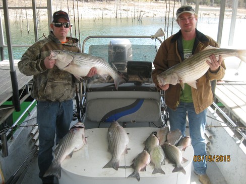 Nice Striped Bass
