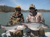 (04/01/2013) - Nice Striped Bass