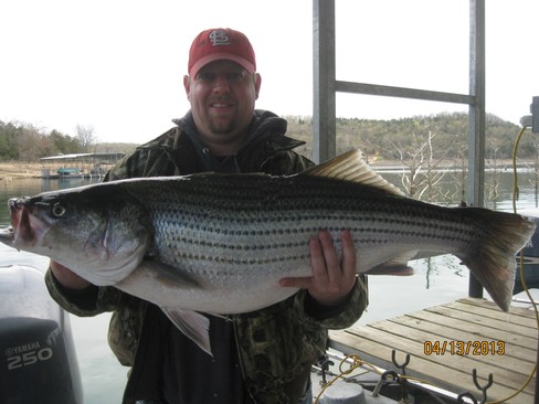 Nice Striped Bass