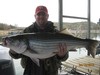(04/14/2013) - Nice Striped Bass