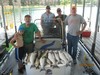 (06/19/2013) - Nice Striped Bass