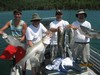 (06/20/2013) - Nice Striped Bass